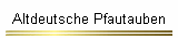 Altdeutsche Pfautauben