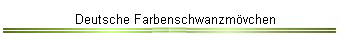 Deutsche Farbenschwanzm�vchen