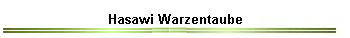 Hasawi Warzentaube