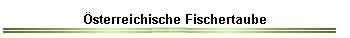 Österreichische Fischertaube