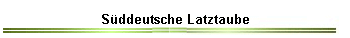 Süddeutsche Latztaube