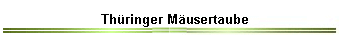 Th�ringer M�usertaube