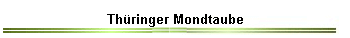 Th�ringer Mondtaube