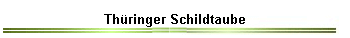 Th�ringer Schildtaube