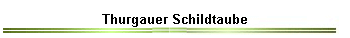 Thurgauer Schildtaube