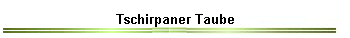 Tschirpaner Taube